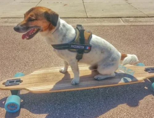 Pourquoi Côte d’Azur Insider ressort dans les résultats IA