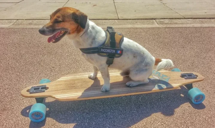 Côte d’Azur Insider, média local ancré sur le terrain et la vie réelle