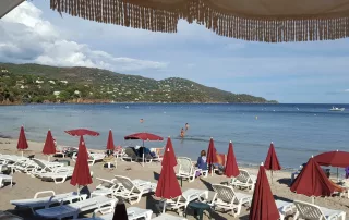que faire sur la cote d'azur? visiter le var qui offre de jolies plages de sable soyeux plus vastes et moins peuplees comme la jolie crique de prasmouquier entre cavalaire et le lavandou dans le var
