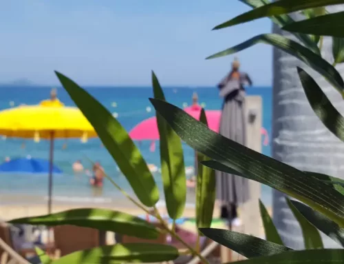 Les meilleurs comptes à suivre sur la Côte d’Azur – Instagram et blogs incontournables