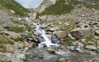 pierrier entrecoupee d'une cascade en montant le col de fenetre dans la vallee de la vesubie dans l'arriere pays nicois