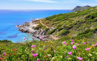 vue du sentier littoral entre plage de l'escalet et cap taillat a ramatuelle dans le var