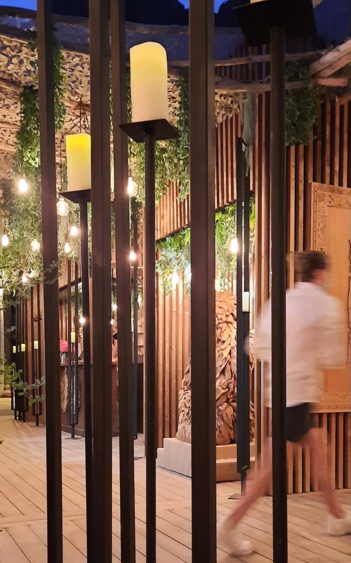 devenez visibles grace a wild side communications