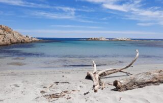 plage de reve collee au cap taillat avec sable blanc et eaux translucides