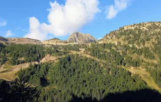 vue des pistes d'isola 2000 depuis l'immeuble pierre et vacances