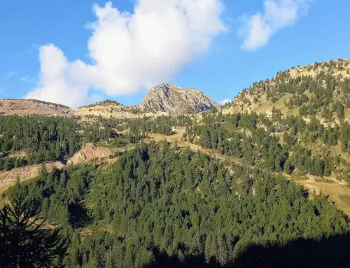 Isola 2000 : fermeture de la galerie, la station reste ouverte