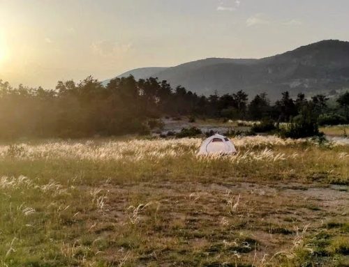 Côte d’Azur Insider : les articles les plus lus de l’été 2025