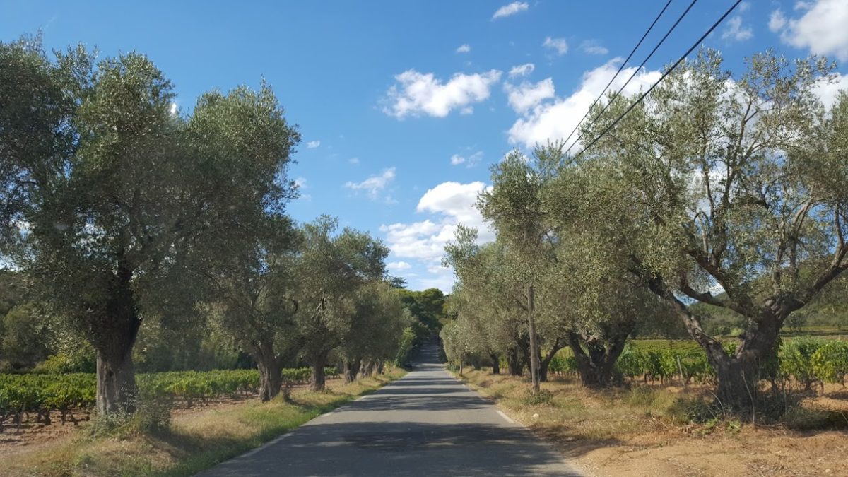 quelque part sur la route de Brégançon