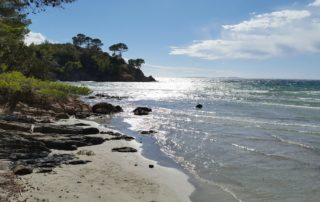 plage de l'estagnol a bormes les mimosas dans le var
