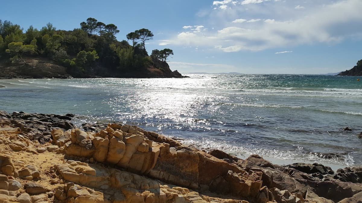 Une crique bordée de pins parasol aux eaux transludides et au sable fin