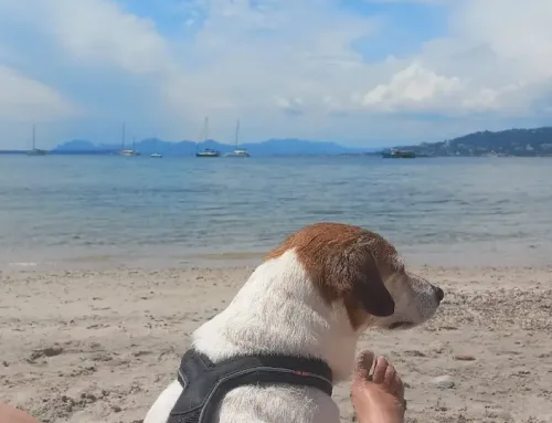 Routine solaire pour peaux sensibles sur la Côte d’Azur