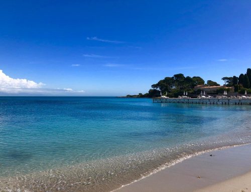 Côte d’Azur Insider : stratégie SEO locale gagnante