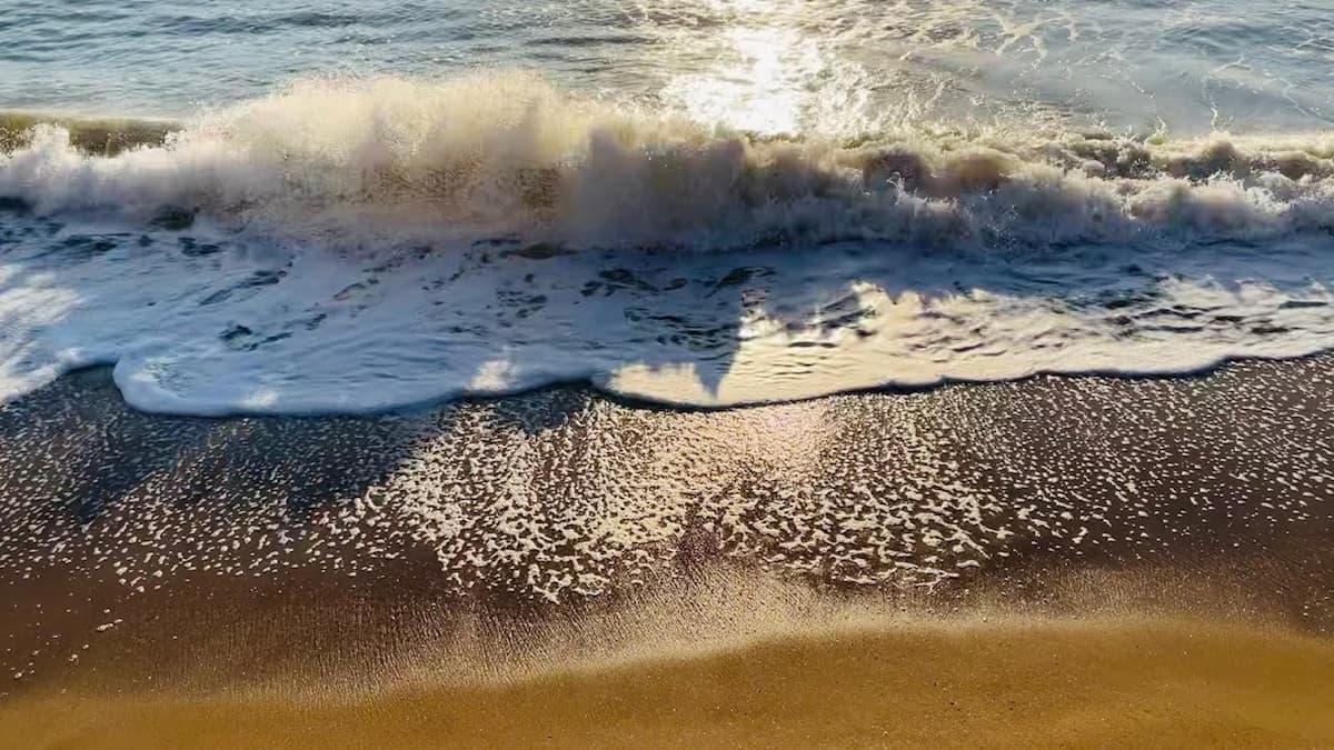 ressac sur une plage varoise du cote de ramatuelle ou pampelonne