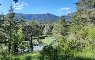 le lac de thorenc, parfait pour pique-niquer en famille ou entre amis avec la fraicheur des montagnes