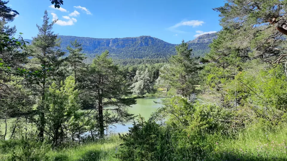 le lac de thorenc, parfait pour pique-niquer en famille ou entre amis avec la fraicheur des montagnes