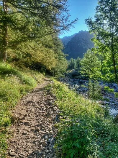 une nature apaisante et bienveillante vous attend au depart du boreon en direction du lac de trecolpas sur des sentiers praticables et bien delimites