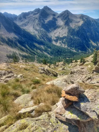 vue du mercantour sur les hauteurs de st martin vesubie, pour faire le plein de nature, lacs, faune sauvage, melezes et sommets