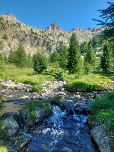 un des nombreux ruisseaux qui accompagnent le randonneur lors de l'ascension pour atteindre le lac de trecolpas