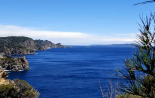 vue de la grande bleue d'une falaise de l'ile de porquerolles face a hyeres